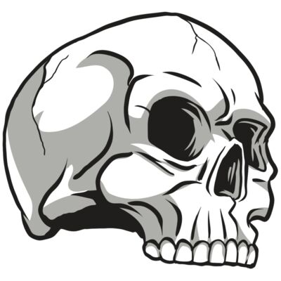 AR24 SKULL 10 RQC Thumbnail