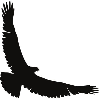 Eagle   Clipart 2 Thumbnail