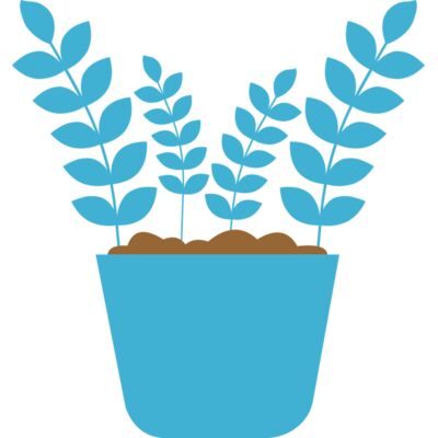 Plant 5 Thumbnail