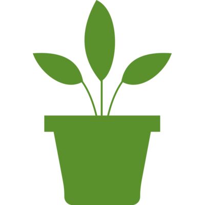 Plant 2 Thumbnail