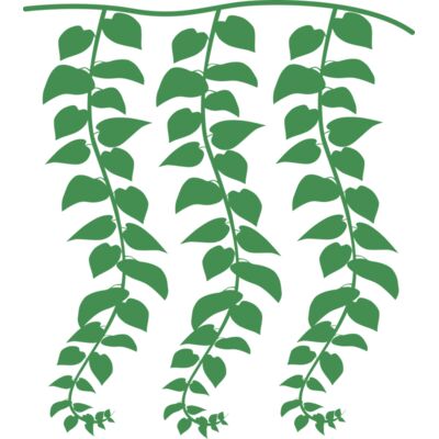 Hanging Plants Thumbnail