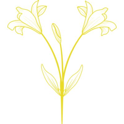 Flowers 9 Thumbnail