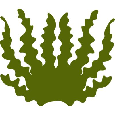 Sea Plant 2 Thumbnail