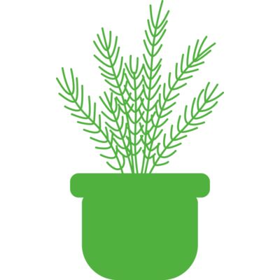 Herb Thumbnail
