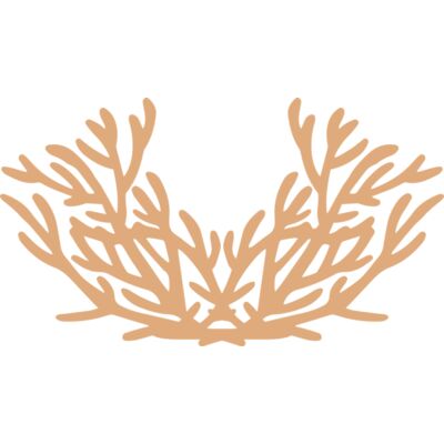 Sea Plants Thumbnail