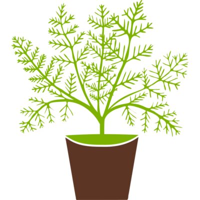 Plant Thumbnail