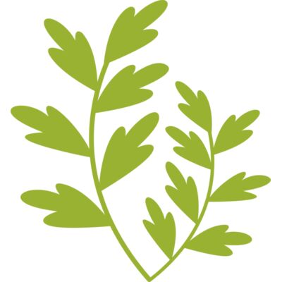 Leaves 11 Thumbnail