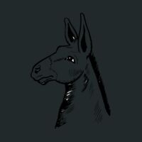 Crunch Duffel Thumbnail