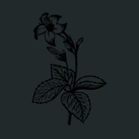 Crunch Duffel Thumbnail