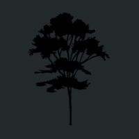 Crunch Duffel Thumbnail