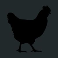 Crunch Duffel Thumbnail