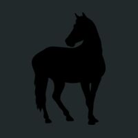 Crunch Duffel Thumbnail