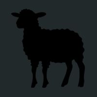 Crunch Duffel Thumbnail