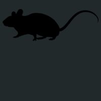 Crunch Duffel Thumbnail