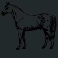 Mastermind Pack Thumbnail