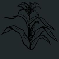 Mastermind Pack Thumbnail