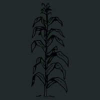 Mastermind Pack Thumbnail