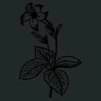 Mastermind Pack Thumbnail