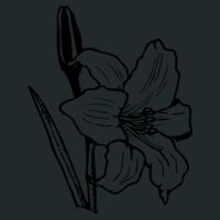 Mastermind Pack Thumbnail